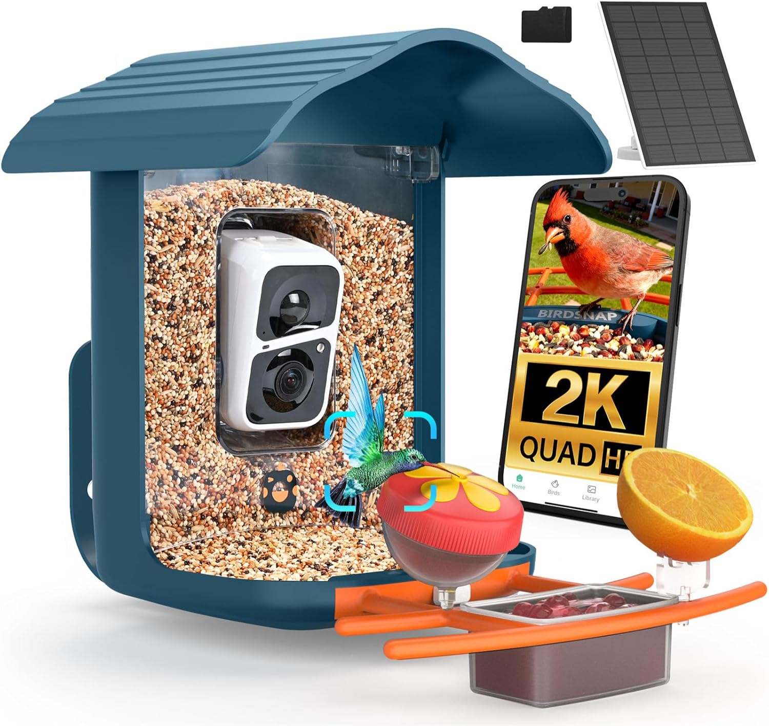 The Ultimate Guide to Bird Watching Equipment for Beginners (2026)