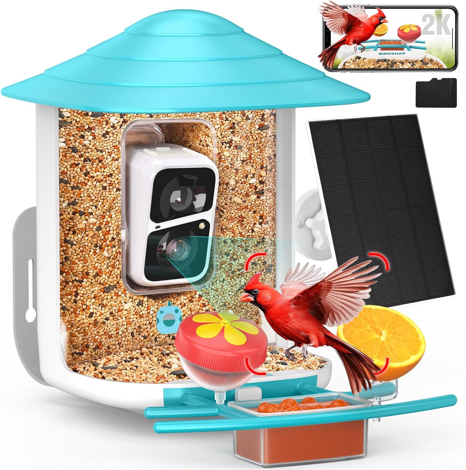 Bird Watching Machine The Ultimate Guide to Bird Watching Equipment for Beginners (2026)